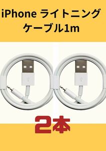 iPhone 5-13 ライトニング充電データー転送ケーブル 2本