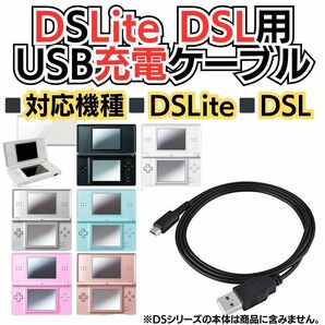 DSLite ライト USB充電コード Nintendo ケーブル 線 ニンテンドーDS Lite 充電ケーブル 急速充電 高耐久 断線防止 USBケーブル 充電器 A01の画像2