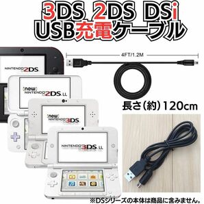 人気の選べる 充電コード 3DS 2DS DSi DSLite USB コード Nintendo ケーブル 3DS 充電ケーブル DSi/LL/3DS用 充電器 USBケーブル A01の画像3