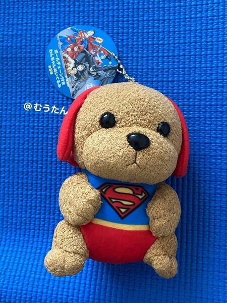 DC ボールチェーン付きわんちゃんぬいぐるみ