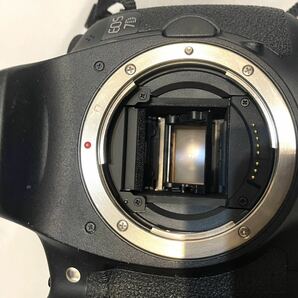 【シャッター数 46451】Canon デジタルー眼レフカメラ EOS 7D レンズキット EF-S18-200mm IS【ケース＆ベルト付き】動作確認済みの画像5