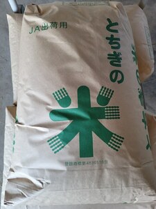 [Новый рис 30 кг (стандартный рис от полированного риса)] Кошихикари Фермер прямо отправил блог в блоге! 【бесплатная доставка】