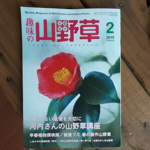 趣味の山野草 ２０１９年２月号 （栃の葉書房）