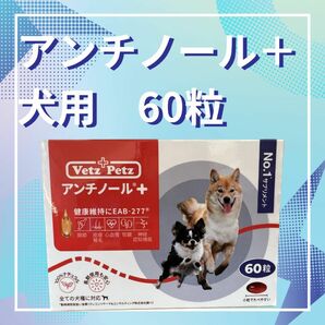 アンチノールプラス　犬用　60粒