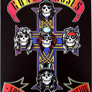 Guns N' Roses ガンズ アンド ローゼズ GN'R ブリキ看板 20cm×30cm アメリカン雑貨 サインボード バー レトロ グランジ ロック アメリカの画像2