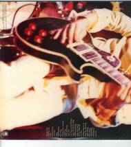 2LP 見開き フランプトン・カムズ・アライヴ　ピーター・フランプトン PETER FRAMPTON / FRAMPTON COMES ALIVE【Y-1024】_画像2