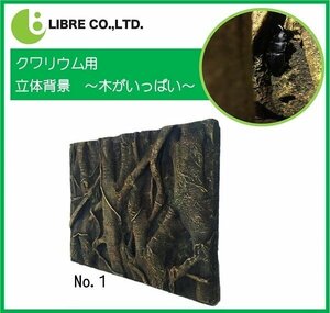  solid background back board terrarium aquarium biotope structure shape aquarium human work background classification 100S ita01