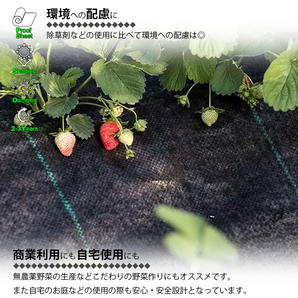 防草シート 黒 2m×50m 1巻 厚さ0.3mm 農用シート 草よけシート 除草シート 雑草防止 砂利下 人工芝下 LB-225 区分100Sの画像6