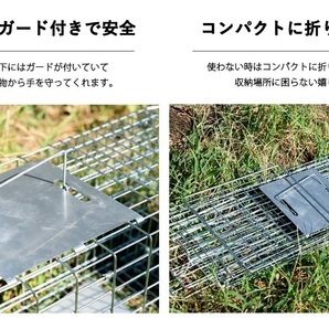 捕獲器 猫 アニマルトラップ トラップ 【Lサイズ】 駆除 捕獲 踏板式 捕獲機 動物 罠 保護 庭 農業 アニマルキャッチャー LB-201 区分100Sの画像2