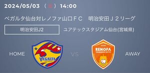 5/3 ベガルタ仙台 vs レノファ山口 サポーター応援エリア ペア