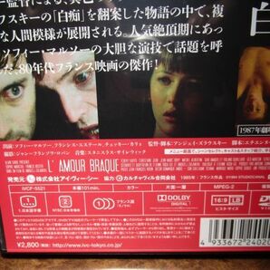 国内正規品 セル版 DVD 狂気の愛 (1985年フランス) アンジェイ・ズラウスキー監督/ソフィー・マルソー主演/ ドストエフスキー/白痴の画像4