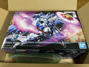 新品 HGCE HG 1/144 ギャンシュトローム ギャン 機動戦士ガンダムSEED FREEDOM ガンプラ バンダイ アグネス