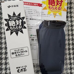 伊藤園　むぎ茶　ワンタッチ！保冷マイボトル　500ml&カバー　　非売品　2023.夏　キャンペーン