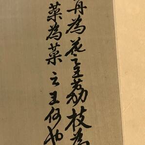 【知之】斉白石 齋白石 白菜 水印版画 絹本 木版印刷 中国 70～80年代 時代保証 本物保証 シート サイズ630×430(mm) 本画ではありませんの画像3