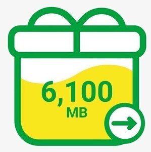 mineo マイネオ パケットギフト 約6.1GB