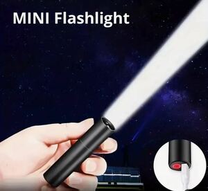 ミニライト LEDフラッシュライト 防水 釣り キャンプ USB充電式 黒