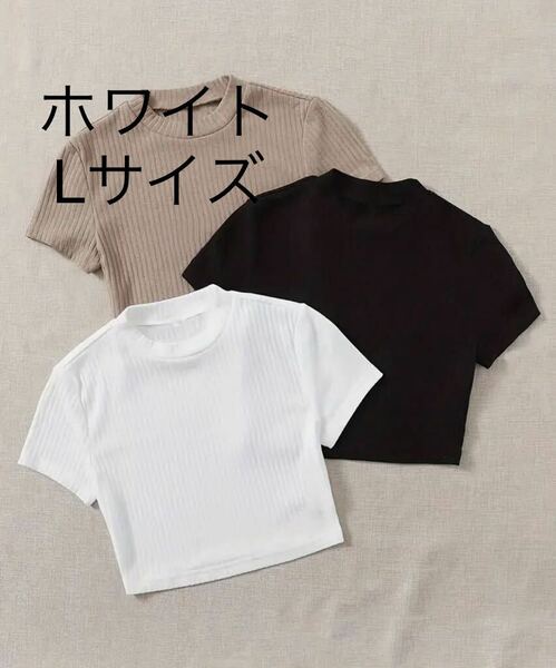 トップス 半袖 カットソー 白 ニット Tシャツ クロップ リブ編み ホワイト Lサイズ