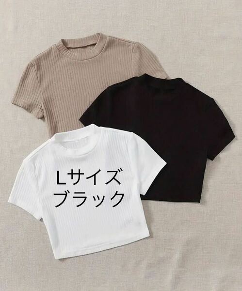 トップス 半袖 カットソー ニット Tシャツ ニット 半袖 ブラック クロップ リブ クルーネック Lサイズ