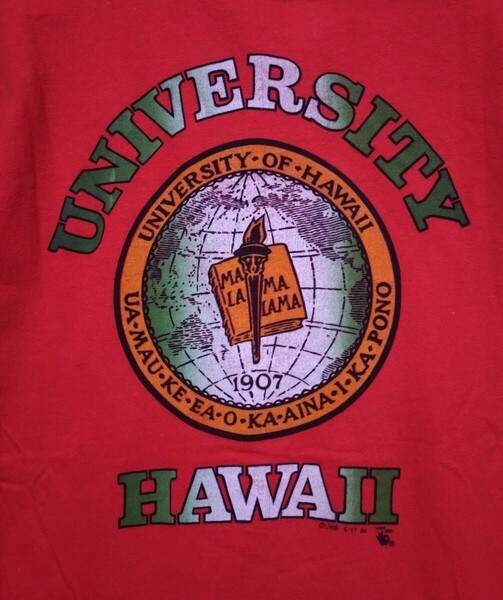 80s USA製 ハワイ大学 HAWAII カレッジT M HANES ヘインズ 検索 オールドT ヴィンテージT ロゴ チャンピオン ラッセル 90s アメリカ古着