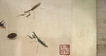 ■観心・時代旧蔵■C3868中国古書画 斉白石 草虫卷 15虫 書画長卷 水墨中国画巻物 肉筆逸品 肉筆保証品_画像3