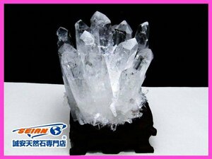 誠安◆クリスタル水晶クラスター[T802-5231]