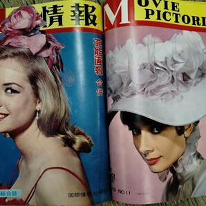 ■状態良好 映画情報 オール芸能総合誌 まとて11冊セット 1964〜1965年 国際情報社発行 映画雑誌 バインダー付き 昭和レトロ■の画像3