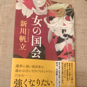 ★女の国会★新川帆立★送料185円の画像1