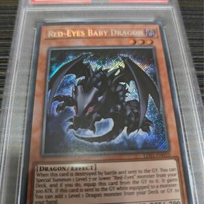 遊戯王 真紅眼の幼竜 レッドアイズ ベビー ドラゴン 海外版 シク PSA 9