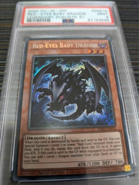 遊戯王 真紅眼の幼竜 レッドアイズ ベビー ドラゴン 海外版 シク PSA 9