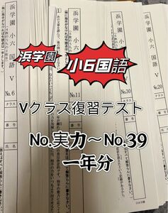 浜学園　小6 復習テスト　Vクラス　　国語　　1年分　