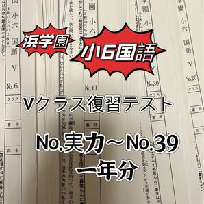 浜学園　小6 復習テスト　Vクラス　　国語　　1年分　