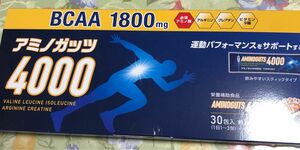 アミノガッツ4000 5g×30包　賞味期限2025年11月