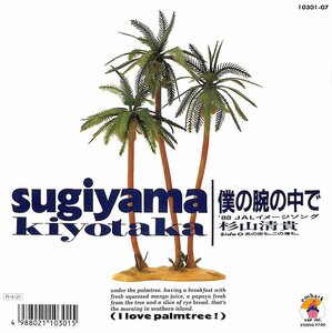 250050 杉山清貴: Sugiyama Kiyotaka / 僕の腕の中で / あの空も。この海も。(7)