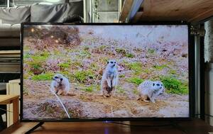 36 [AICHI Store] ■ Шион ■ 4K LCD TV 55V Тип W1249 × D230 × H784MM 2021 HLE-5501K ★ Субпись-доставка ★ Добро пожаловать ★