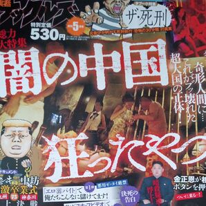 実話ナックルズ (５月号 ２０１３) 月刊誌／大洋図書