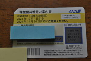 （予約変更可）ANA 株主優待券　番号通知可　送料無料　期限2024年11月末　