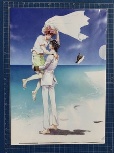【SCF7740 】水上 ルイ, 蓮川 愛のPerfect Darling ~「豪華客船で恋は始まる【クリアファイル】
