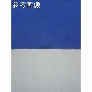 平和屋-こころ店■付下げ 反物 着尺 和か葉苑 草花文 正絹 逸品 未使用 AAAC4361Auwの画像10