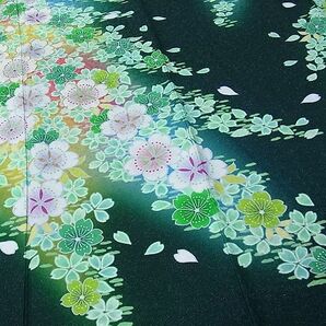 平和屋1■豪華振袖 駒刺繍 舞桜 暈し染め 銀通し地 京都きもの友禅扱い 逸品 CAAC3455hyの画像6