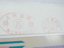 平和屋1■和装小物　胴裏　八重櫻　3着分　逸品　CAAC8920th_画像4