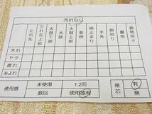 平和屋2◎六通太鼓柄袋帯　印籠舞花文　金糸　金彩　逸品　DAAA2915ma_画像5