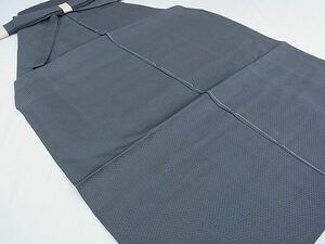 平和屋2■夏物　男性　行灯袴　絽　亀甲文　未使用　逸品　DAAC1299wb