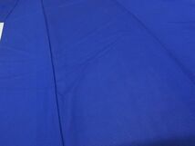 平和屋-こころ店■夏物　色無地　絽　瑠璃紺色　正絹　逸品　AAAD7469Acs_画像3