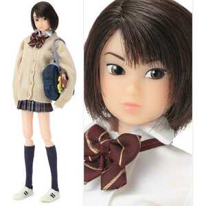 新品未使用●超貴重レア●極美品●箱無しフルセット●momokodoll「ソッコー下校 Dash! After School」momoko doll モモコドール petworks