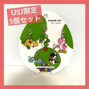 未使用品 USJ限定　マリオ　チャームセット　スーパー任天堂ワールド　ヨッシー