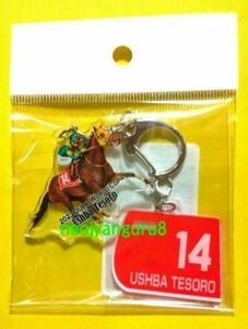 ウシュバテソーロ＊ドバイワールドカップ＊アクリルキーホルダー＊ストラップ＊競馬場＊ＪＲＡ＊ドバイＷＣ