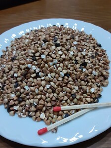 常陸秋そば茶　そば茶500ｇ　健康効果　自家栽培安心安全　有機肥料　無農薬栽培　茨城県産