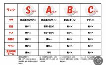 BRIDGESTONE ☆TOURSTAGE EXTRADISTANCE 【A級ランク】12個セットロストボール_画像5