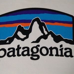 patagonia パタゴニア Tシャツ メンズXSの画像7