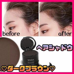 【新品】ヘアシャドウ 薄毛 小顔 おでこ 分け目 ハゲ隠し シェーディング 増毛 ヘアパウダー